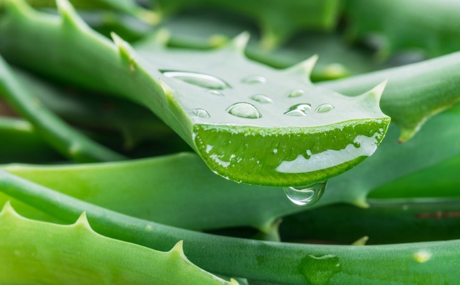 Aloe Vera Natural